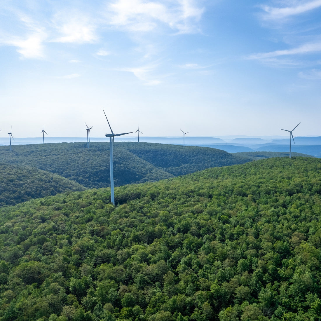 100% green energy